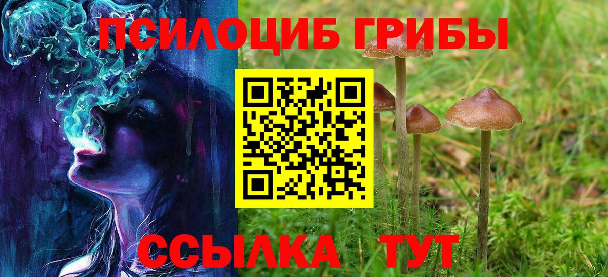 Коломна  Псилоцибиновые грибы ЛСД  как найти закладки  Вход с VPN 