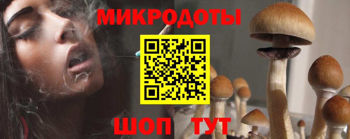 Галлюциногенные грибы Cubensis Коломна
